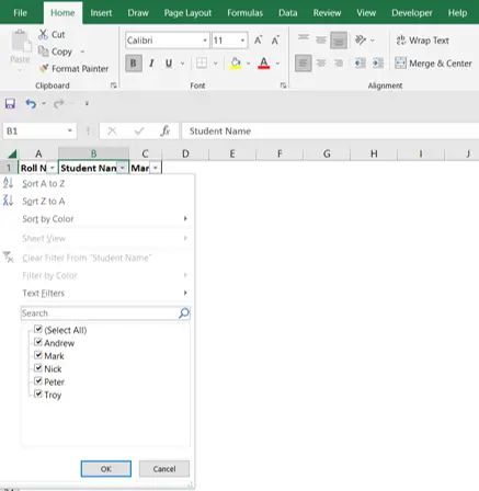 Excel Shortcut Activate Filter